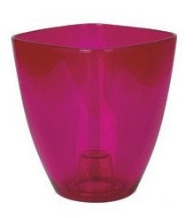 Osłonka do storczyka 12 cm transparentna amarant Osłonka do storczyka 12 cm transparentna amarant