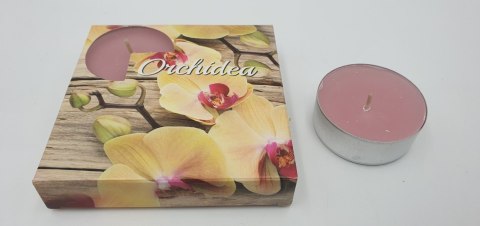 Podgrzewacz zapachowy 4szt maxi ORCHIDEA Podgrzewacz zapachowy 4szt maxi ORCHIDEA