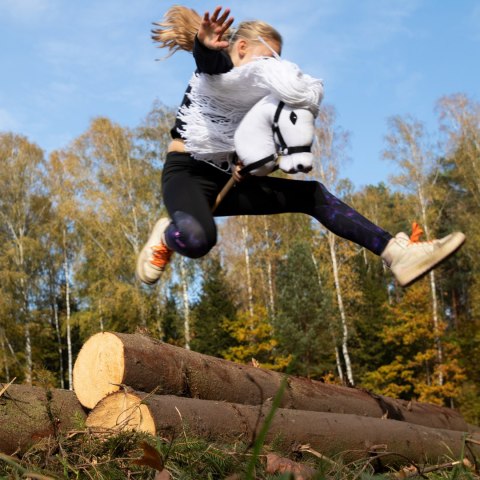 Hobby horse zabawka dla dziewczynki konik kiju A3 Hobby horse zabawka dla dziewczynki konik kiju A3