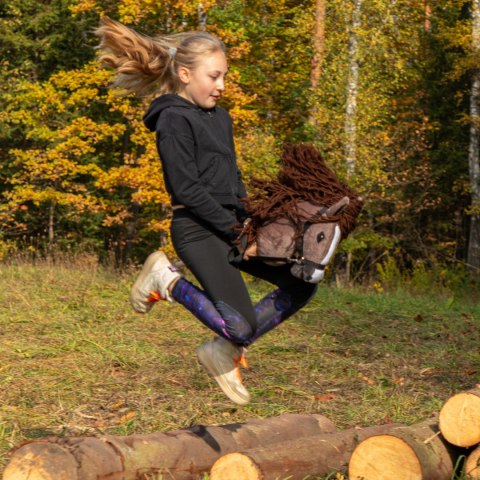 Hobby horse zabawka dla dziewczynki konik kiju A3 Hobby horse zabawka dla dziewczynki konik kiju A3