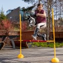 Skippi Hobby Horse tarantowaty - biało czarny - prezent na dzień dziecka