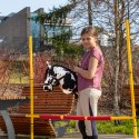 Skippi Hobby Horse tarantowaty - biało czarny - prezent na dzień dziecka