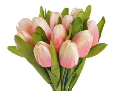 Bukiet tulipanów 35cm | 22CAN16009_02 Bukiet tulipanów 35cm | 22CAN16009_02