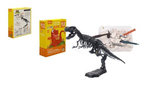 Wykopaliska dinozaury Wykopaliska dinozaury