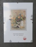 Antyrama Plexi