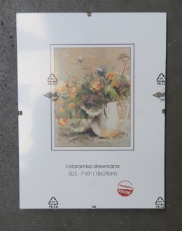 Antyrama Plexi