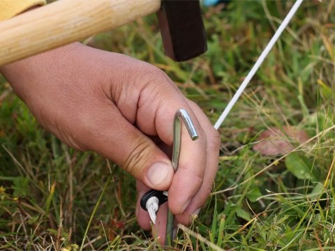 Szpilki do namiotu mocujące śledzie kotwy stal 31cm 10szt. hak haczyk kołki Szpilki do namiotu mocujące śledzie kotwy stal 31cm 10szt. hak haczyk kołki