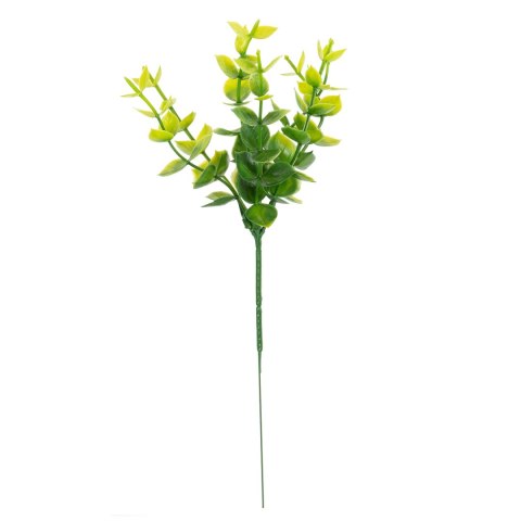 Gałązka bukszpanu 20cm 12 SZT Gałązka bukszpanu 20cm 12 SZT