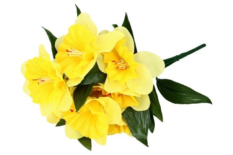 Bukiet ŻONKIL wys. 62 cm 11 łodyg (33 kwiaty ok. 11 cm) ŻÓŁTY KMA-2401A Bukiet ŻONKIL wys. 62 cm 11 łodyg (33 kwiaty ok. 11 cm) ŻÓŁTY KMA-2401A