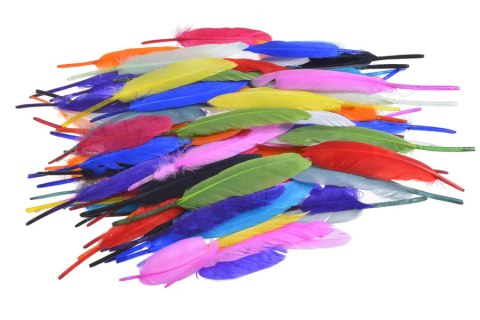 Kolorowe pióra 10-13cm ok. 72szt. 173CAN2A039 Kolorowe pióra 10-13cm ok. 72szt. 173CAN2A039