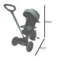 Rowerek trójkołowy TRIKE FIX Elite 2w1 z daszkiem obracany regulowany spacerówka prowadnik pasy zielony