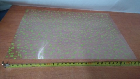 Worek celofan 25szt 25x35 ZIELONE KWIATY Worek celofan 25szt 25x35 ZIELONE KWIATY